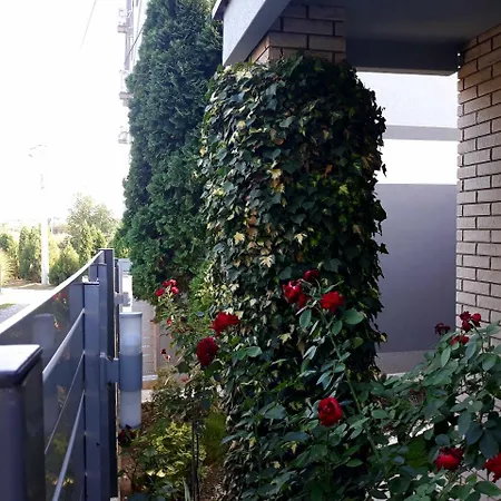 Apartments Popovic Belgrad Exterior foto