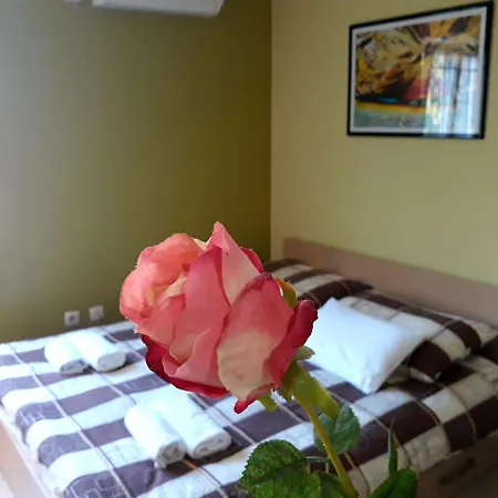 Apartments Popovic Belgrad Exterior foto