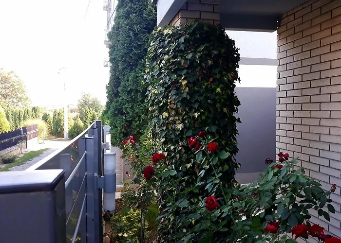Apartments Popovic